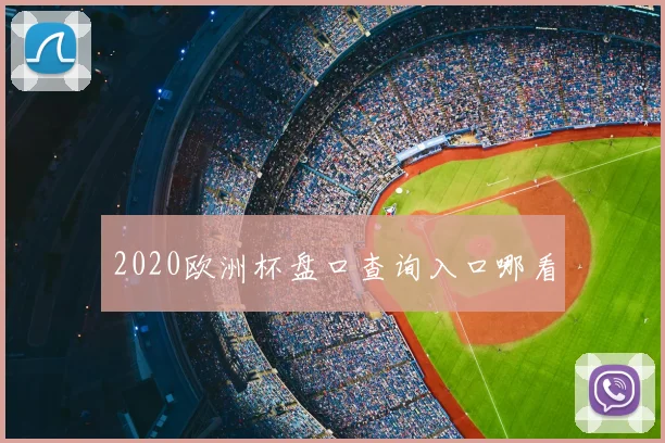 2020欧洲杯盘口查询入口哪看