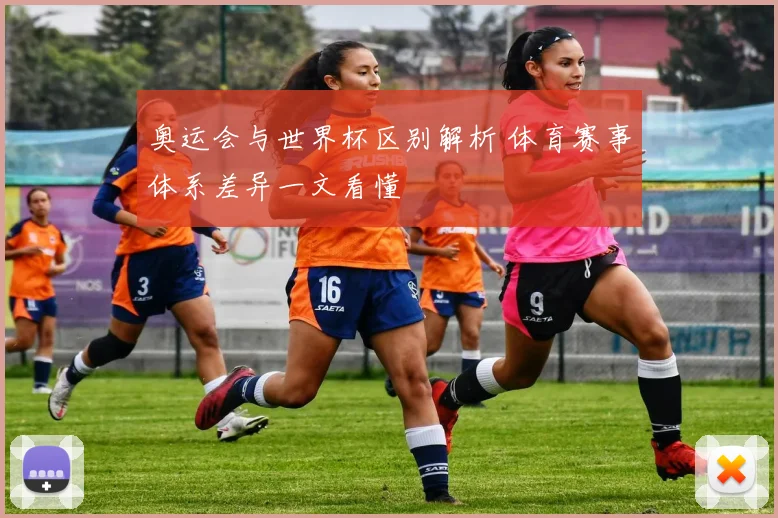 奥运会与世界杯区别解析 体育赛事体系差异一文看懂