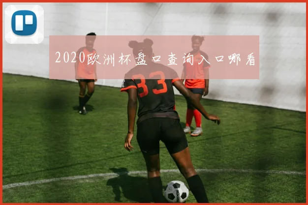 2020欧洲杯盘口查询入口哪看