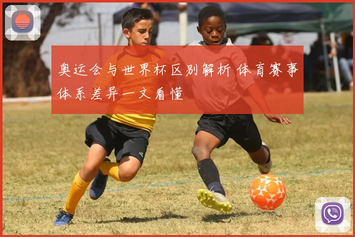 奥运会与世界杯区别解析 体育赛事体系差异一文看懂