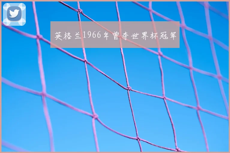 英格兰1966年曾夺世界杯冠军